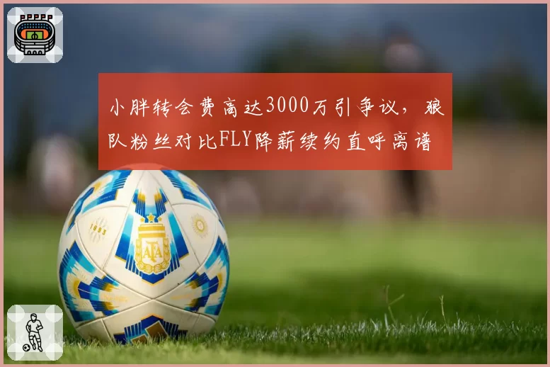 小胖转会费高达3000万引争议，狼队粉丝对比FLY降薪续约直呼离谱