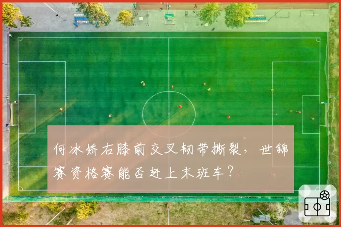 何冰娇右膝前交叉韧带撕裂，世锦赛资格赛能否赶上末班车？
