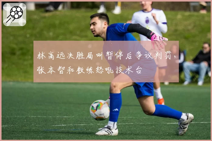 林高远决胜局叫暂停后争议判罚，张本智和教练怒吼技术台