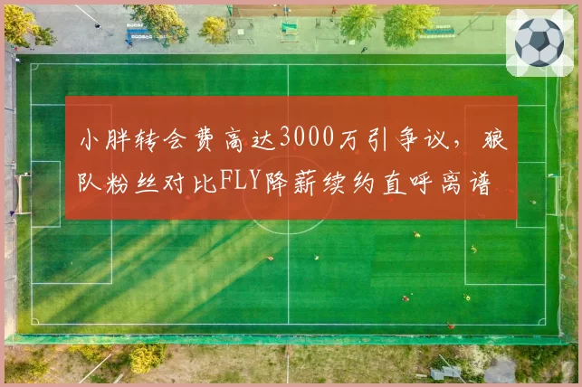小胖转会费高达3000万引争议，狼队粉丝对比FLY降薪续约直呼离谱