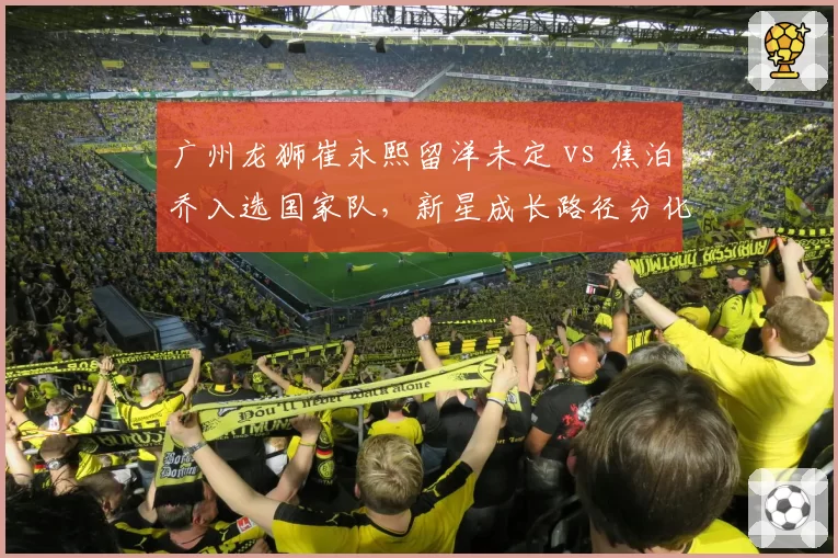 广州龙狮崔永熙留洋未定 vs 焦泊乔入选国家队，新星成长路径分化
