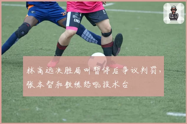 林高远决胜局叫暂停后争议判罚,张本智和教练怒吼技术台